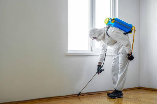 Best Flea Control Services  in Wakefield, NE