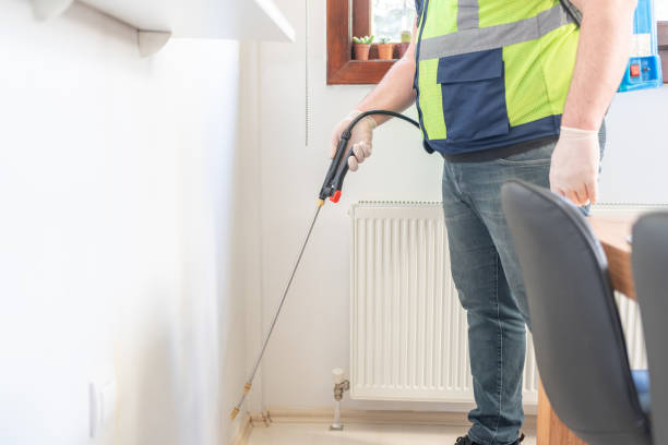 Best Wasp Removal Services  in Wakefield, NE