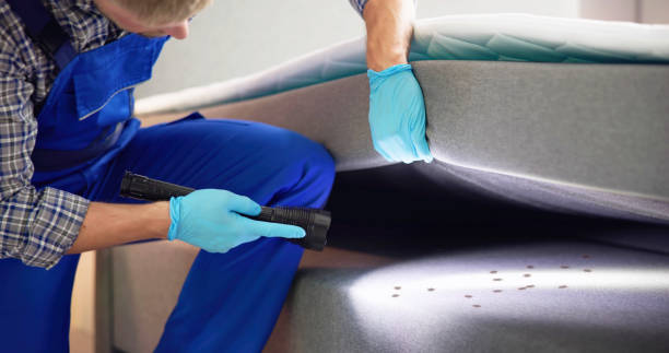 Best Pest Control Near Me in Wakefield, NE