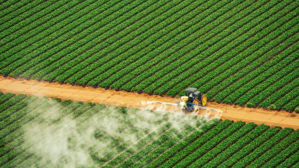Best Pest Removal Services  in Wakefield, NE