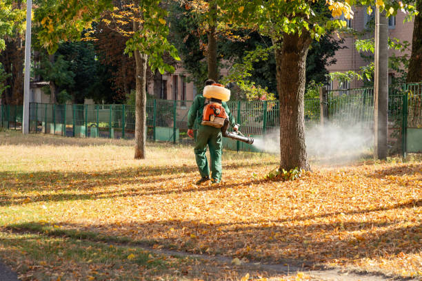 Wildlife Control Services in Wakefield, NE