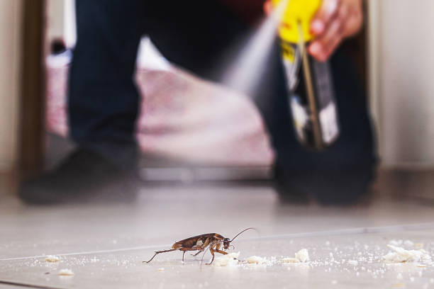 Best Exterminator Services  in Wakefield, NE