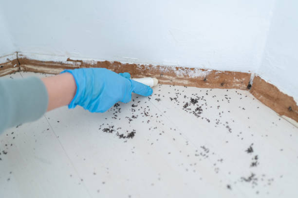 Best Pest Inspection Near Me  in Wakefield, NE
