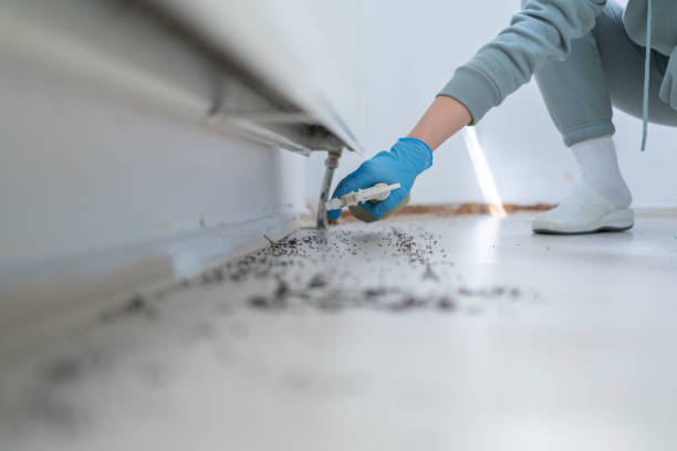 Best Affordable Pest Control Services  in Wakefield, NE